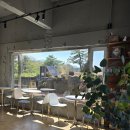 6808 | [제주맛집] 제주 감성 가득한 젤라또 맛집, 젤라테리아 섬 솔직후기