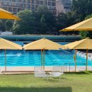 코코바코 | I ♡ SYD (4)