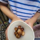 초지운동장 | 강화군맛집 바다보며 쭈꾸미와 카페를 동시에 즐길수 있는 바다보다 최고에요