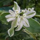 한농유기농 건강체험마을 이미지