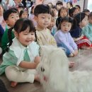 창의샘어린이집 네이버블로그
