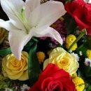 향기나는 화원 이미지