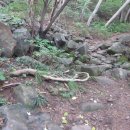 용연목장 이미지