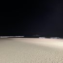 동해안회센타 이미지