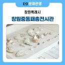 창원 내동패총 | 도심 한복판에서 만난 과거, 창원 중동패총전시관