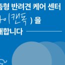아이캔독 네이버블로그