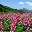 가작축산 이미지