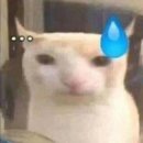 선샤인 동물병원 | 인생이 뜻대로 안되면 일단 락을 해야함