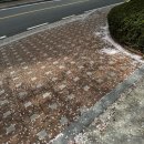 (주)캐리소프트 | 26년 4월 일상(1) +요가복들 후기🛍️(부디무드라/무브웜/오즈이즈/룰루레몬/아르아율)