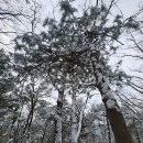 김혁공원 이미지