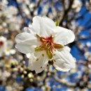 즐거운축사 이미지