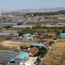 금능부동산공인중개사사무소 이미지