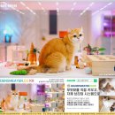 삼송농장 | 중랑구고양이분양 후기 사과농장 청년