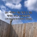 개나리 애견유치원 이미지