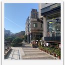 개성부동산공인중개사사무소 이미지