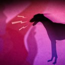 상대배수펌프장 이미지