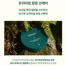 KT 홈쇼핑 후기 : 그린핑거 포레스트 멀티디펜스 선쿠션