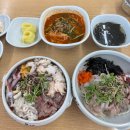 항아리맛집 | 속초청초호맛집 속초항아리물회 섭국 회덮밥 후기
