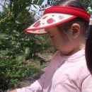 가은농장 이미지