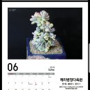 싱싱다육그린원 이미지