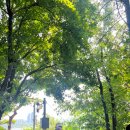 노들강 | 백로가 뛰놀던 곳 활짝 활짝, 노들나루 한강 역사탐방