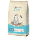 길냥이와 함께하는 이미지