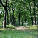 베데스다의료기 이미지