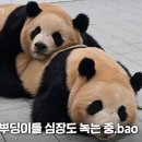 알콩달콩 이미지