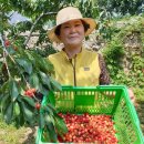 체리호텔 이미지