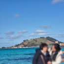 민박바당집 이미지