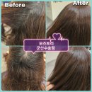 군산시보건소 | 군산 모즈토리 수송점 염색 후기 군산미용실 군산수송동미용실 모즈토리수송점