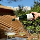 애니카랜드 화곡 남부점 | 🍷텐트 밖은 단풍