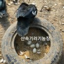 천수농산