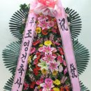조영건축사사무소 이미지