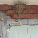 시장철물점 이미지