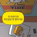 까망감스테이 이미지