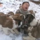 상하실내체육관 이미지