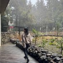 씨유제주에코미르점 | 제주도 디저트 카페, 제주도카페 테라로사 중문 DT점
