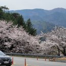 지엔비어학원 이미지