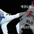 한국체대월드태권도
