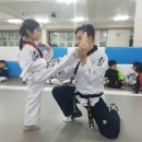 용인대 효 태권도 이미지