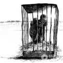 단식광대 이미지