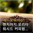 에티오피아G1 벤치마지 모리타 워시드 커피원두 특징과 산미·향미, 핸드드립 선택 기준 이미지