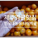 민우네농장 | 제주 감귤맛집 아이간식 민우네농장에서~
