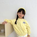 세이치즈 이미지