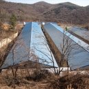 문경목장 이미지