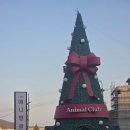 멍멍이 클럽 | 용인 수지 애니멀클럽 방문 후기-16개월 아기랑 동물원, 키즈카페