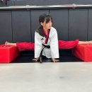 늘푸른태권도체육관 이미지