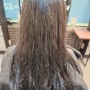 산호동204 이미지