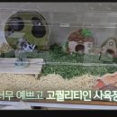햄스터농장 이미지